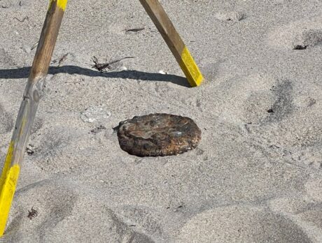 Old military munition found on beach