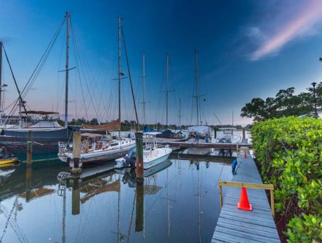 Vero finally getting serious about marina repairs
