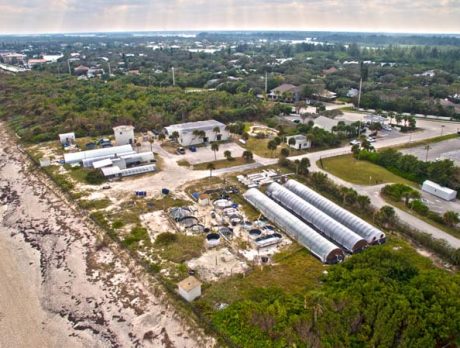 What led to FIT marine laboratory’s demise?