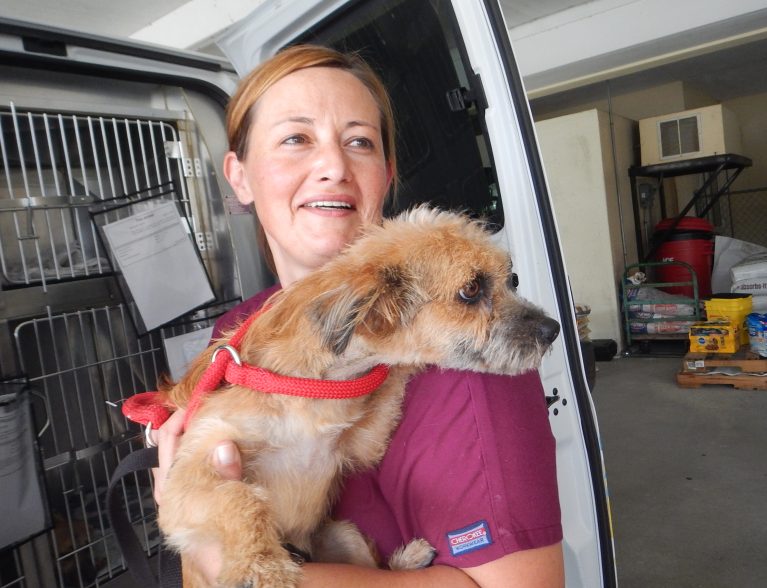 Humane Society awarded spay, neuter grant