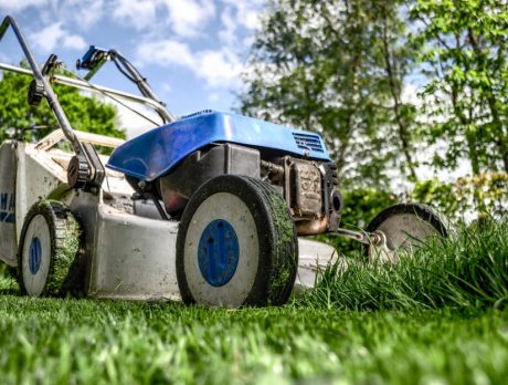 Lawnmower, iPhone 7 stolen from business