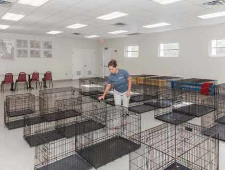 Humane Society calmly shelters pets before the storm