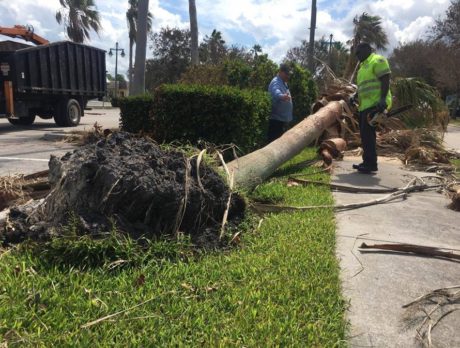 Debris clean up no issue for Indian River