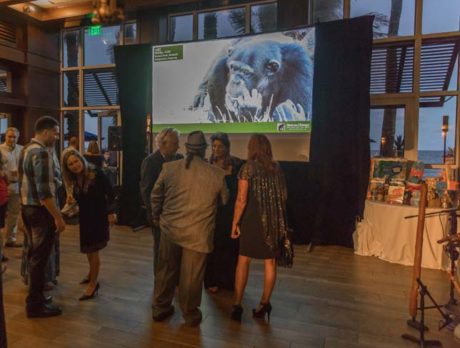 An ape-tite to save chimps at Celeb Chef Tasting