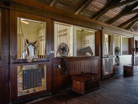 Vero’s finest equestrian estate available at reduced price