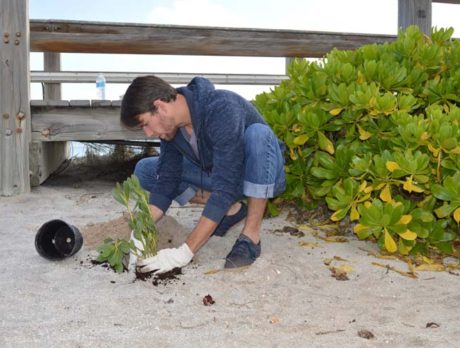 Jaycee Beach restoration: Dig the new native plants!