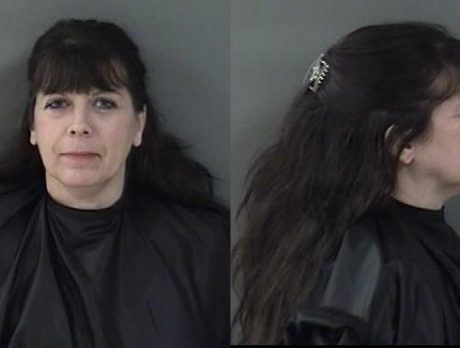 Woman accused of trying to sell sick puppies
