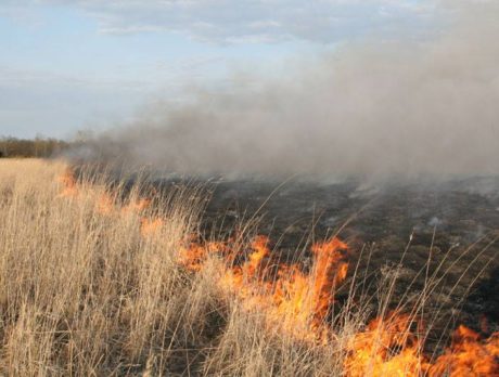 Prescribed burn planned for state park this week