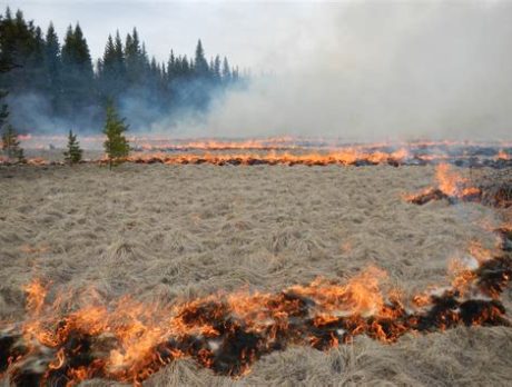 Prescribed burns planned for state park this week