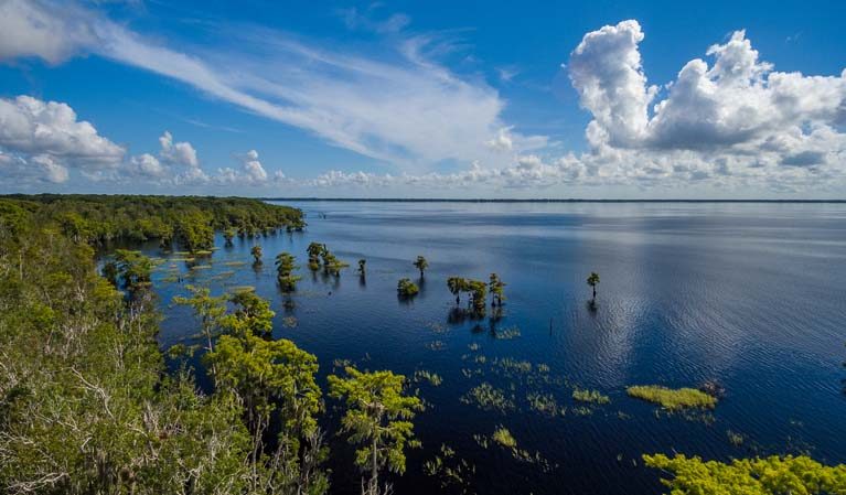 Harmful blue-green algae toxins found at Blue-Cypress Lake