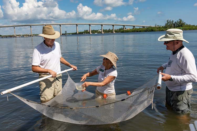 National Estuaries Day celebrates wonders of lagoon