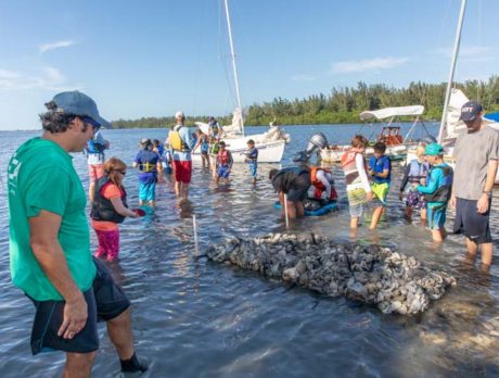 ORCA recruits team for lagoon ‘living shoreline’ project