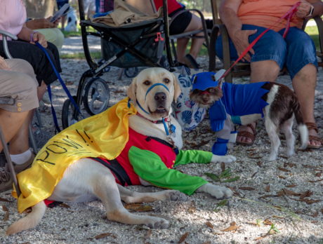 Costumed canines charm at Howl-O-Ween Pawrade