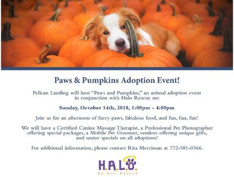 Paws and Pumpkins Adoption Event