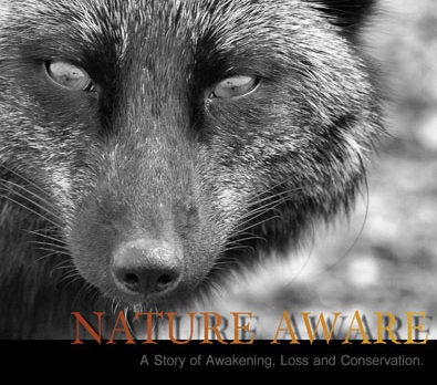 Author Rick Wood releases new book “Nature Aware”
