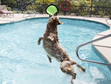 BONZ: Bonzo flips over Max’s water Frisbee feats