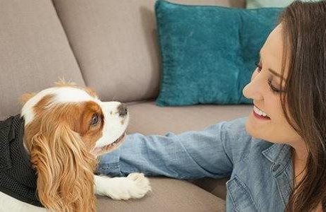 Improve your dog’s emotional life