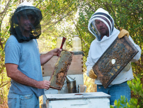 Sebastian mailman delivers more than letters: honey for sale, too