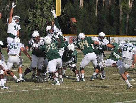 USF football at Vero Beach Sports Village