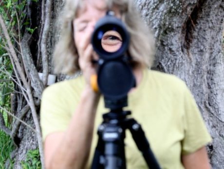 With a month to go, will first annual Treasure Coast Birding Festival fly?