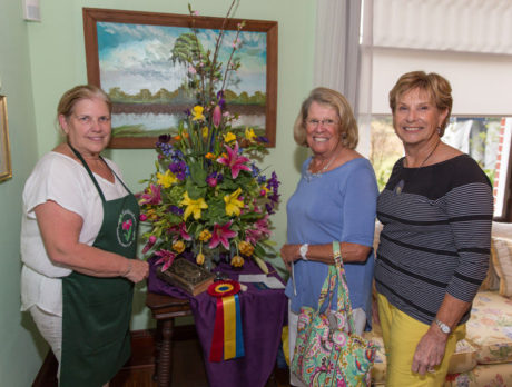 Hallstrom Farmstead backdrop for Flower Show