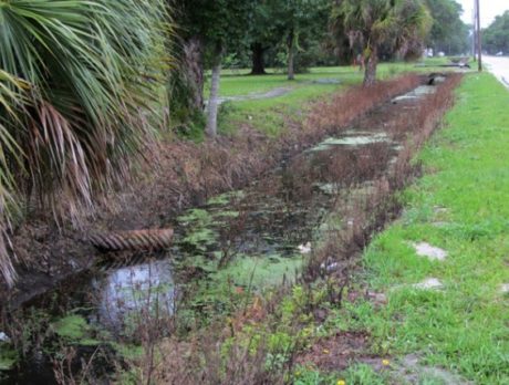 Fellsmere moving forward on drainage improvement plans