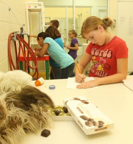 Kids learn first aid and CPR for Pets