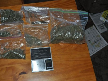 Month-long investigation nets large amount of marijuana