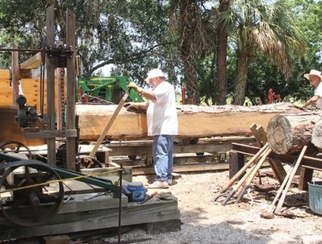 Antique steam-powered sawmill