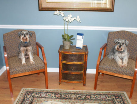 BONZ: Max and Mr. Wilson are 2 ‘official’ office greeters