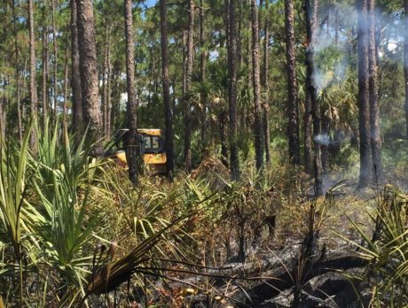 Officials knock down pair of wildfires