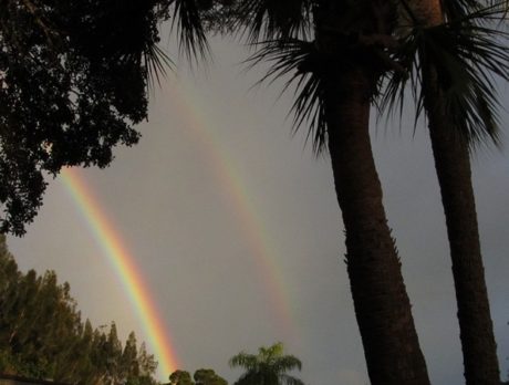 CAMERA: Chasing the pot of gold while looking for unicorns