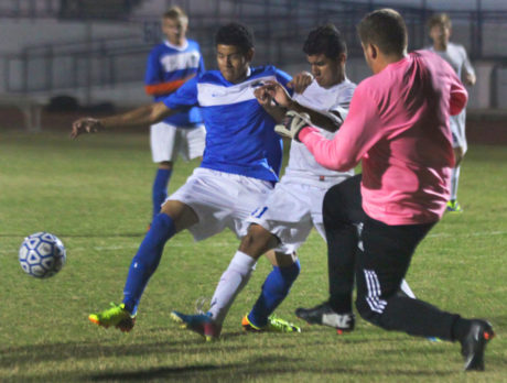 Youthful Sharks search for their identity on soccer field