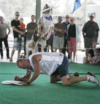 Frisbee Dog Performance