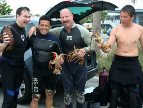 Divers to take to waters off Indian River County for spiny lobsters