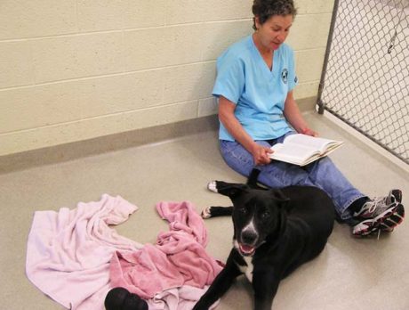 Humane Society starts new “read and relax” program