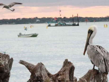 Sebastian Inlet dredging will also help Ambersand Beach