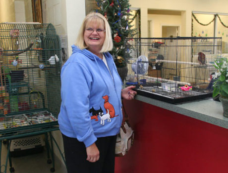 1st of 48 surrendered birds flies coop at Humane Society to forever flock