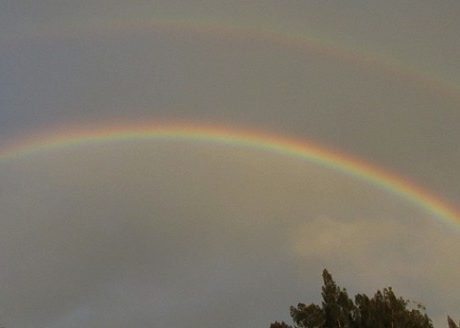 CAMERA: Chasing the pot of gold while looking for unicorns
