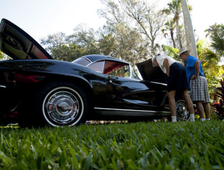 Corvette show at McKee Botanical Gardens