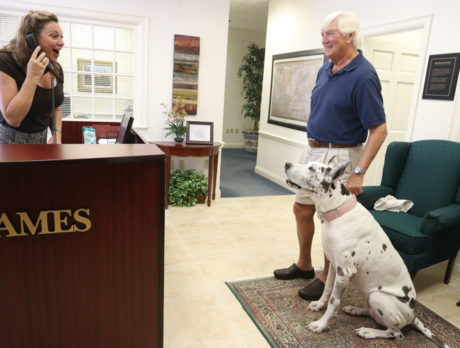 BONZ: Harley the Great Dane gives voice lessons