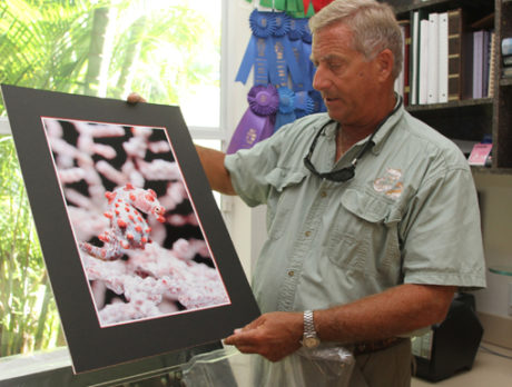 Beachside photographer dives deep for beauty