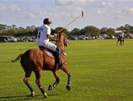 Polo benefit