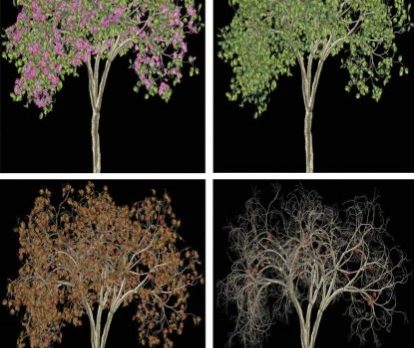 New Vero Beach Art Museum exhibit takes fresh look at trees