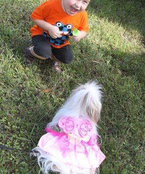 Howl-O-Ween Dog Costume Pawrade & Pet Expo