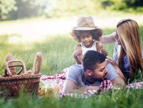 Tips for Protecting Your Family Against Bug Bites