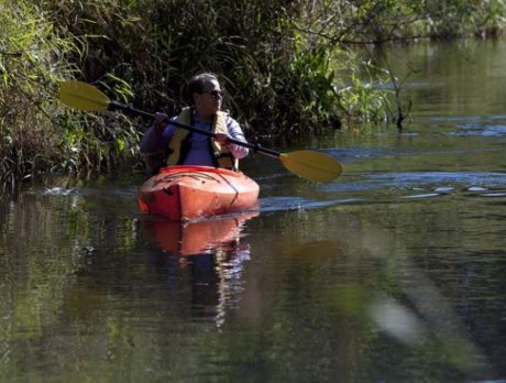 Ecotourism and kayaking the St. Sebastian River