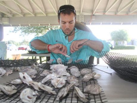 Sebastian’s nature board explores oyster mat project