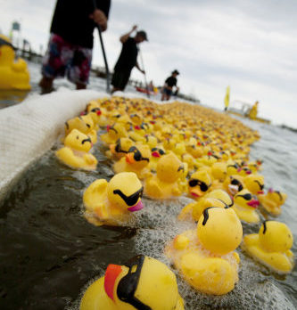 Great Duck Derby