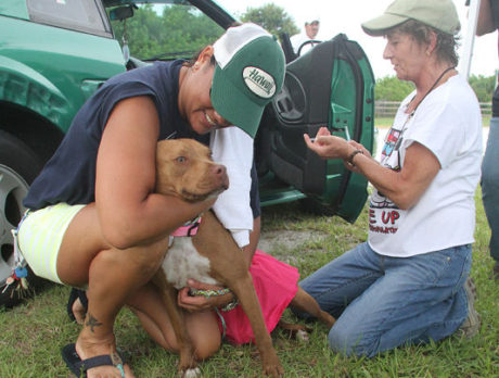 Pet lovers drive through to get vaccinations for their dogs